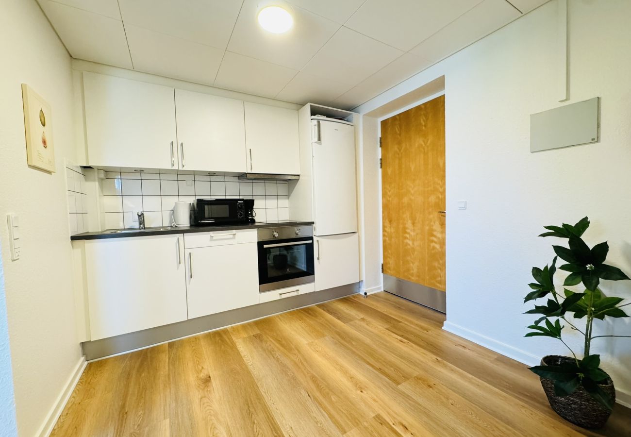 Studio in Aalborg - aday - Blue Sea Holiday Studio Apartment