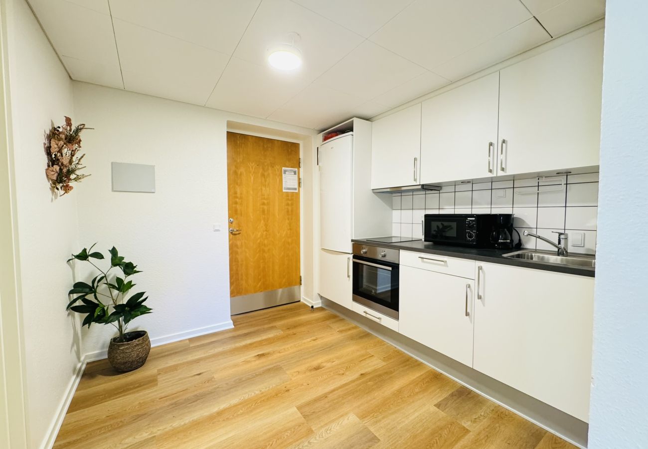 Studio in Aalborg - aday - Bright Sunny Studio Apartment