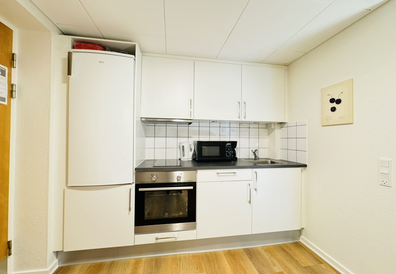 Studio in Aalborg - aday - Bright Sunny Studio Apartment