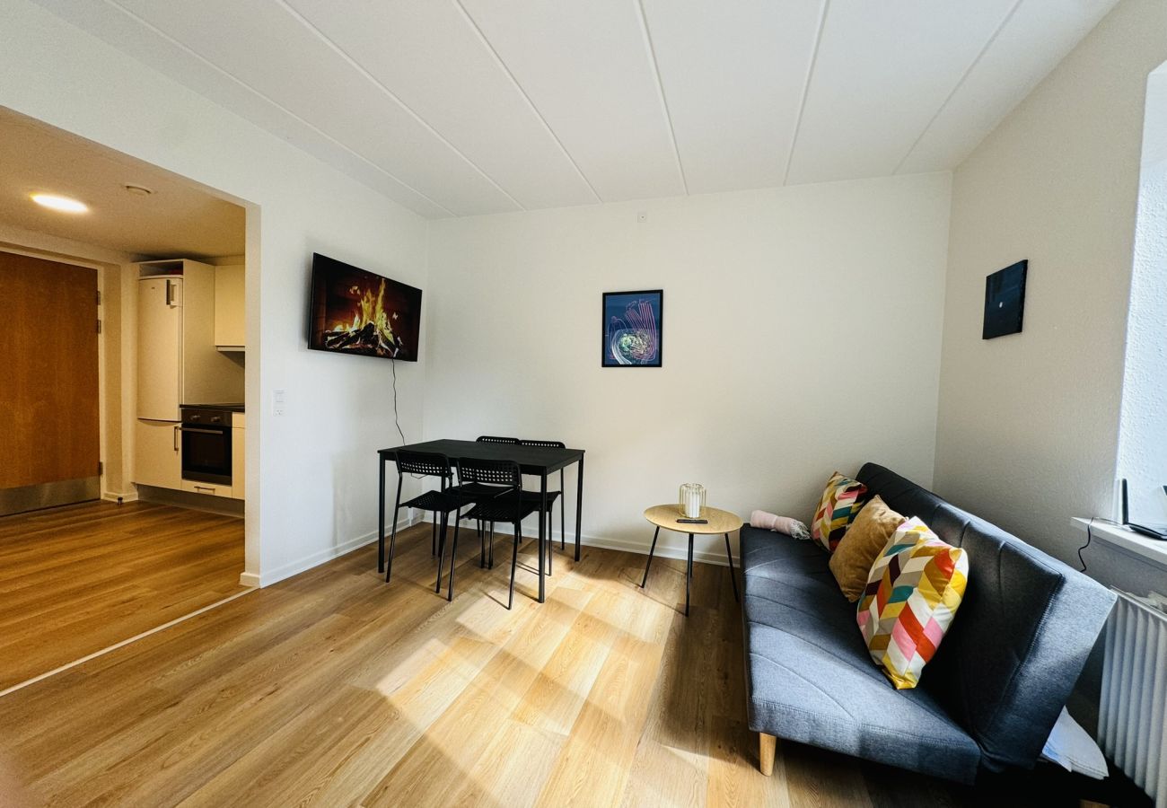 Studio in Aalborg - aday - Charming and Bright Studio Apartment 