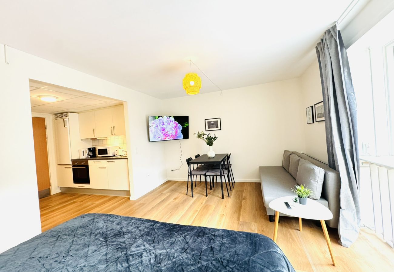 Studio in Aalborg - aday - Lollandsgade Studio Apartment Suite